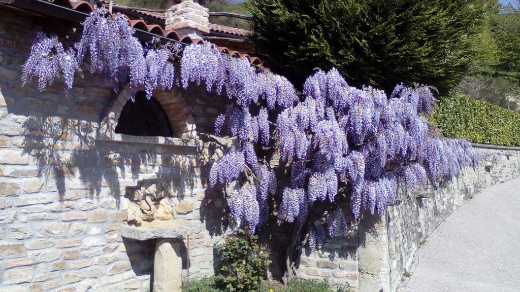 Гостевой дом Trattoria Del Bivio Cerretto Langhe Экстерьер фото